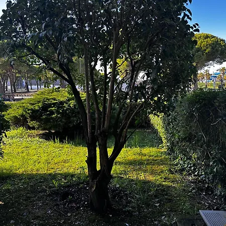 Apartment Green Garden Apartment